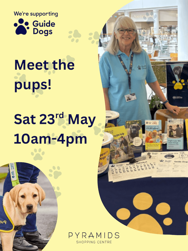 Meet the pups! 1 Guide Dogs